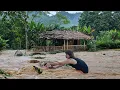 Download Lagu The flood came suddenly, everything was submerged in flood water, is Trang okay?