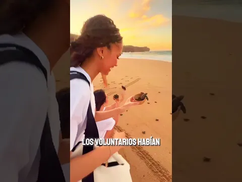 Ha llegado este día tras meses de arduo trabajo 🥹#shortvideo