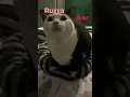 Download Lagu Aw Aw Aw...#cat #hope #core #shorts