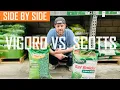 Scotts Lawn Food vs Vigoro Lawn Fertilizer - A Side by Side Comparison and breakdown of the Specs