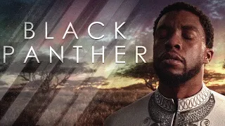 king tchalla the black panther