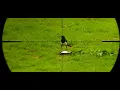 Download Lagu RED LETTER DAY .22 FX King Ground Nesting Bird Protection.