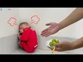 Download Lagu What did Dad do...to make Kyo the monkey so sad and angry?
