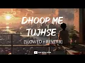 Lagu Ruh Ki Tum Shiddat Ho (Slowed + Reverb) - Asim Azhar | SAR Music Zone