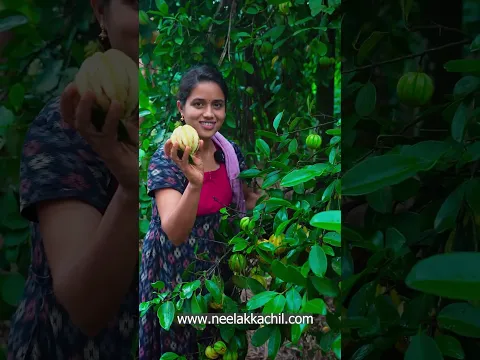 കൊടംപുളി പറിക്കാൻ പോയാലോ..