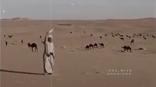 محلى الوصل فالهوى ظبي الفياح مهدي الحارثي  محلى الوصل فالهوى ظبي الفياح مهدي الحارثي