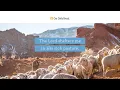 The Good Shepherd Reading Our Daily Bread Devotional February 7 2023