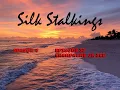 Download Lagu Silk Stalkings S04E17 Champagne on Ice