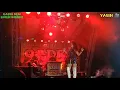Download Lagu QADRI NEW ENTERTAIMENT - JANUR KUNING VOC SELVIANHA