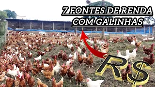 Quais fontes de renda você pode ter CRIANDO GALINHAS? 🐓💰
