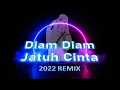 Lagu Diam Diam Jatuh Cinta 2022 ReMiX