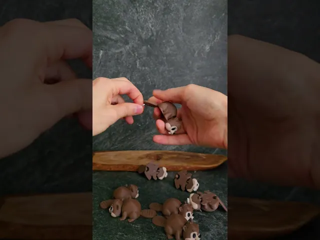 #85 mini baby beaver video thumbnail