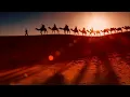 Harramt Ahebbak - Warda (Remix)