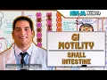 Gastrointestinal GI Motility of the Small Intestine