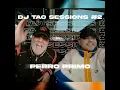 PERRO PRIMO | DJ TAO Turreo Sessions #2 - DJ Tao & El Perro