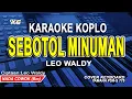 Leo Waldy - Sebotol Minuman Karaoke Koplo (Nada Cowok)