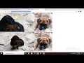 image zoom master jquery html with source code available