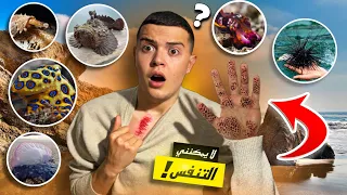 مخلوقات بحرية نحمد الله أنها لا تعيش في تونس      دندنها