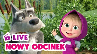 🔴 LIVE✨ Nowy odcinek ✨ Nie kupuj psa w worku 🐶🦴 Masza i Niedźwiedź ⚡ NA ŻYWO