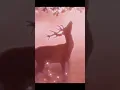 sometimes _ goldmund ( slowed and sad :(