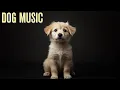 Download Lagu Relaxing Dog Music for Vet Visits – Ease Stress Before the Appointment