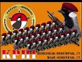 Download Lagu Terapi Rekondisi Poksay Hongkong Yang Stress Dan Macet