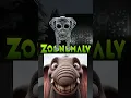 Lagu Zoonomaly vs AI  #garrysmod #gmod #garrysmodgameplay #zoonomaly