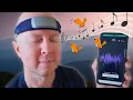 Download Lagu Muse Headband Review – Is It REALLY Worth the Hype?
