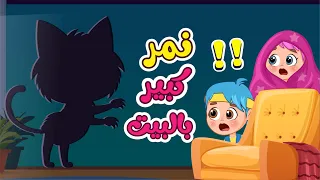 اغنية نمر كبير بالبيت    اغاني اطفال عالم فلافي                دندنها