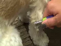 Li l Pals De Matting Comb for Puppies and Petite Dogs