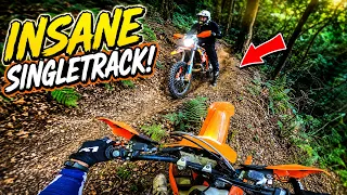 INSANE Forest Singletrack on a 300cc 2-Stroke!