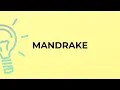 What is the meaning of the word MANDRAKE