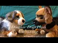 Douglas Dogs Plush Unboxing Swirly Curl