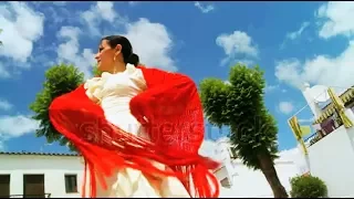 موسيقى يا رايح وين مسافر 