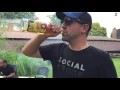 Malort Makes Its Appearance