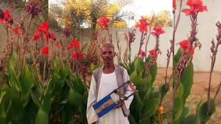 الرائع دوما الشرقي صالح علي حامد 