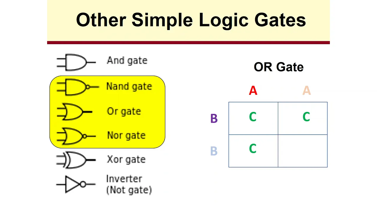 Genetic Circuits