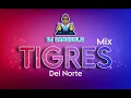 Lagu Mix 3 TIGRES   Dj Canchulo 2025