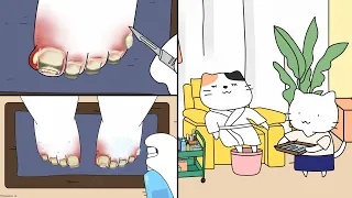 Stop Motion ASMR |Tiny Kitten’s Ingrown Toenail Footcare shop ✂️🐾 (Satisfying & Relaxing)