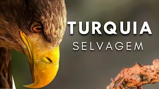 TURQUIA: Terra Indomável [Documentário Completo]