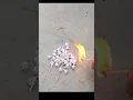 Download Lagu diwali experiment | mr Indian hacker | experiment #shorts