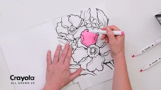 Crayola Alcohol Markers Tips and Techniques: SHADING