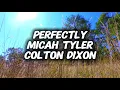 Micah Tyler - Colton Dixon - PERFECTLY (Lyrics)