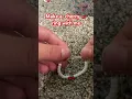 Make a cherry ring with me
