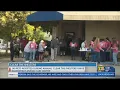 140 pets adopted during annual Clear The Shelters drive