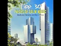 Legends, Op. 59, B. 122: VI. Allegro con moto