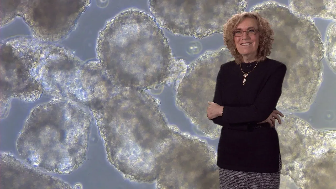 Elaine Fuchs (Rockefeller, HHMI) 1: Skin Stem Cells: Biology and Promise for Regenerative Medicine