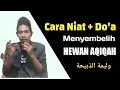 Lagu cara nyembelih hewan aqiqah dan doa nya