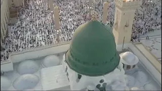 قوم لحبيب الروح   عمر شاهين                                                     دندنها