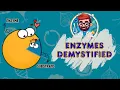 The Only Enzymes You Need O-Level Biology Simplified